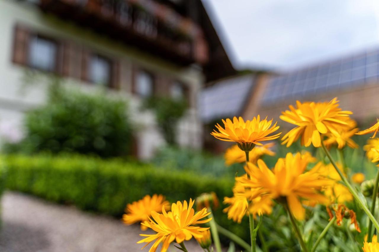 Apartamento Am Doettelbach Bad Peterstal-Griesbach Exterior foto