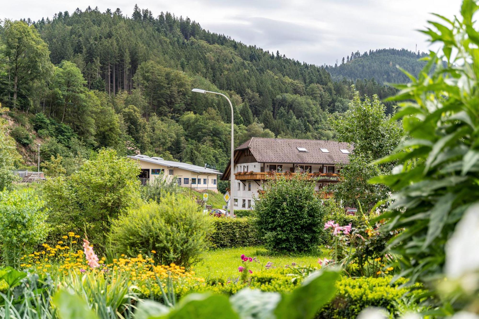 Apartamento Am Doettelbach Bad Peterstal-Griesbach Exterior foto